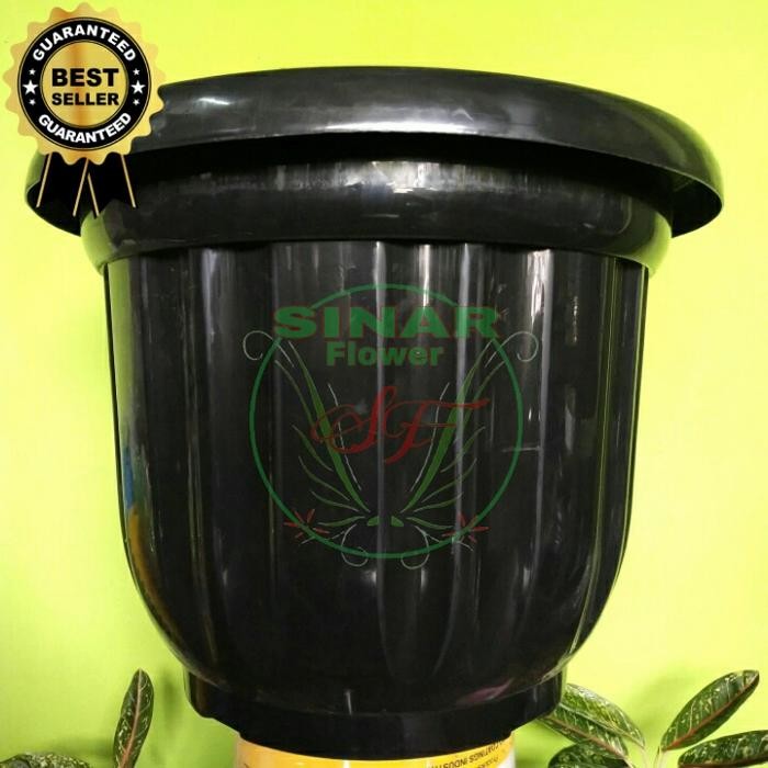 pot tanaman 60 cm/pot hitam/pot plastik 60cm kualitas terbaik