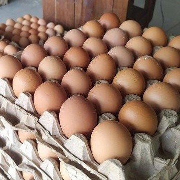 

telur per rak pasar online makassar