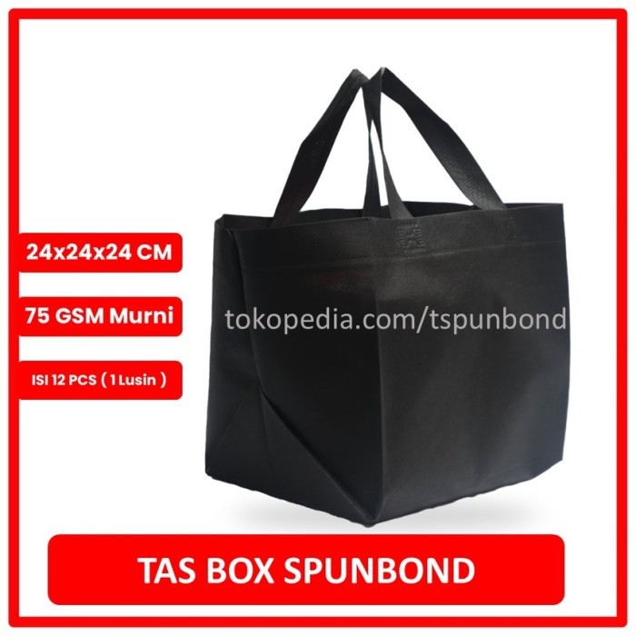 

TAS BOX SPUNBOND HANDLE LUSINAN uk 24x24x24 / Goodie Bag Box Handle