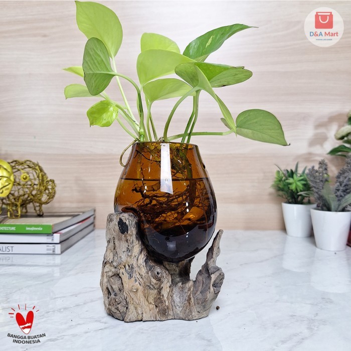 Aquarium Kaca Tiup Akar Kayu Pot Kaca Glass Wood Terrarium Orange Sedang Home Decor