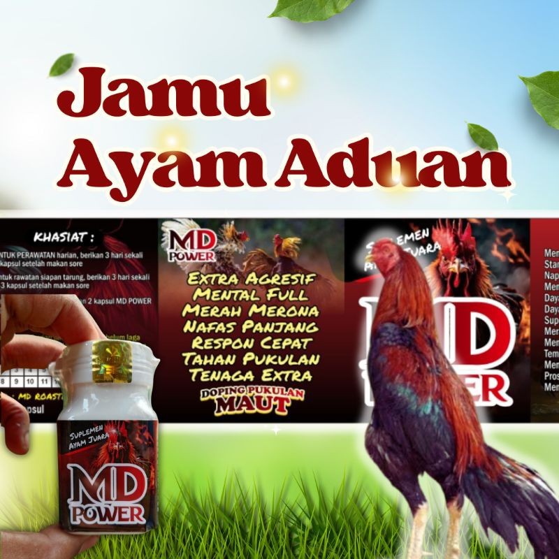 MD Power Jamu ayam aduan kuat nafas dan tenaga