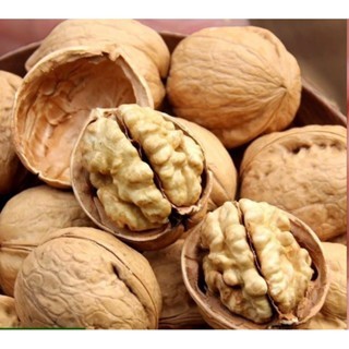 

Walnut Panggang 500gram Roasted Walnut KULIT Rasa Asin