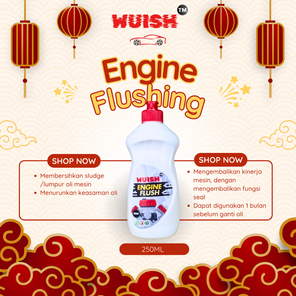Wuish Engine Flushing 250ml