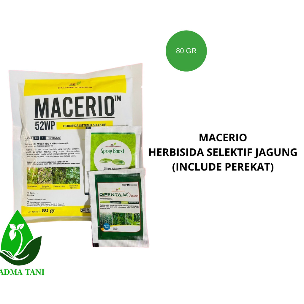 Macerio 52wp herbisida sistemik selektif jagung 80gr ampuh basmi rumput pada tanaman jagung