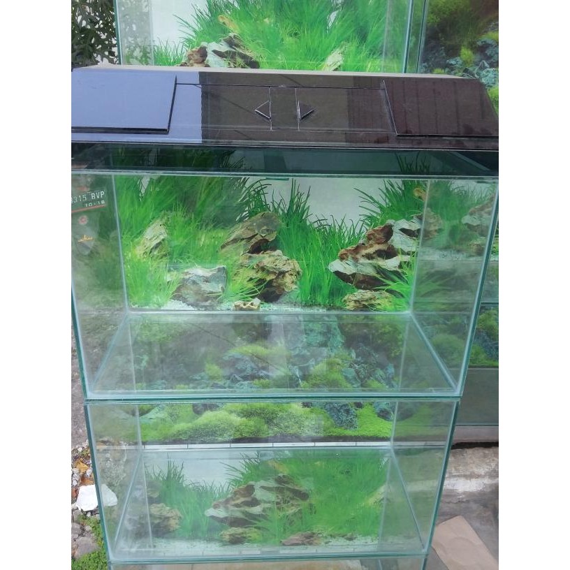 Akuarium 60x30x30 + tutup kaca hitam + back ground