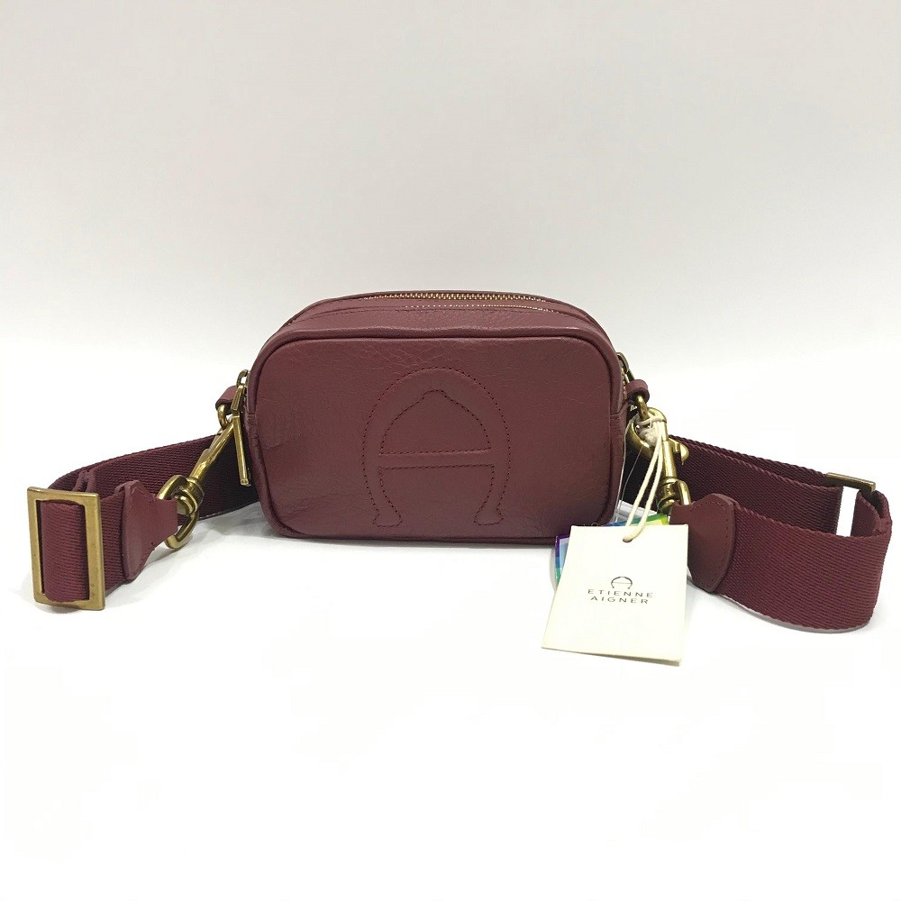 E. Aigner Mini Adeline Camera Bag in Cordovan Maroon