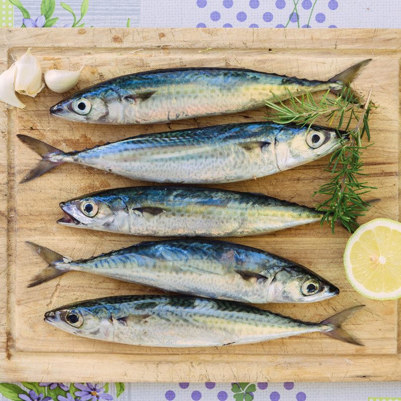

Ikan Tenggiri Segar 1kg