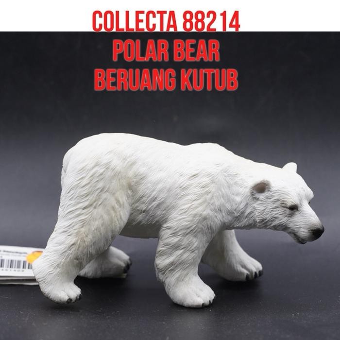 Collecta 88214 Polar Bear Beruang Kutub Salju Ursus maritimus Mainan Binatang Miniature Hewan Animal