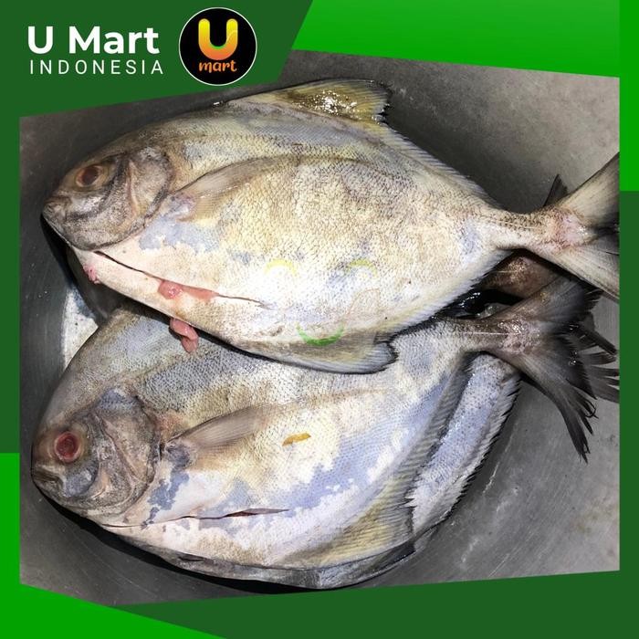 

U Mart - Ikan Bawal Laut Segar 1 kg Fresh