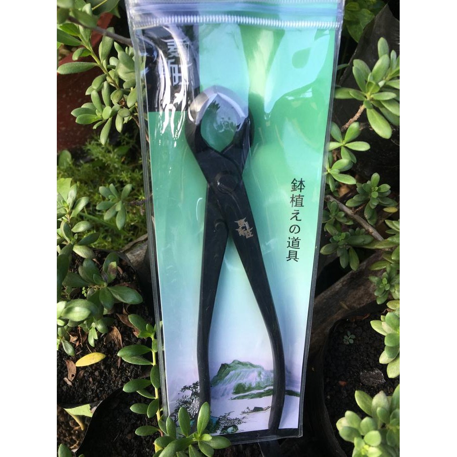 Catok Bonsai Bulat Cembung / Catok Bulat / Catok Bonsai Import