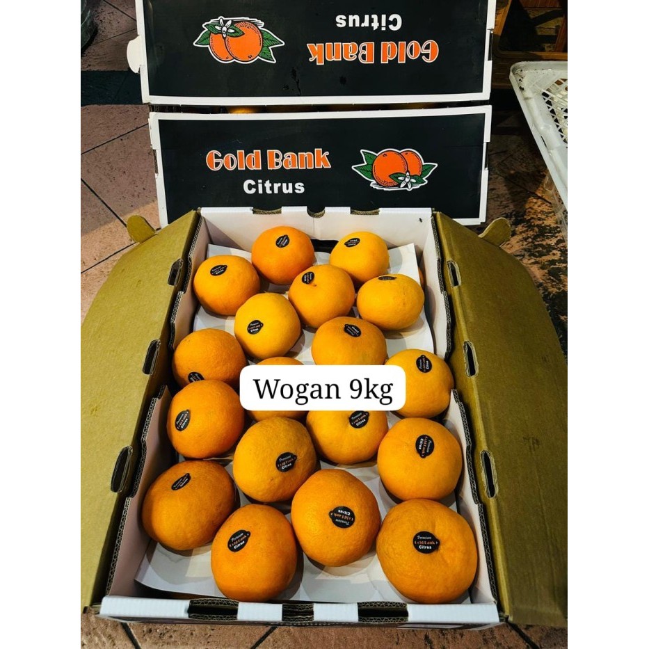 

Jeruk honey murcot | jeruk wogan | jeruk wokam 1kg fresh import manis