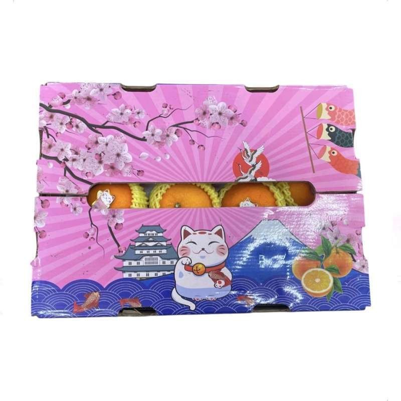

Hampers Buah Jeruk Kucing Fuji Parcel Citrus Gift Set (11 Jeruk)