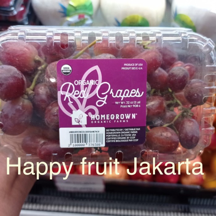 

Anggur Organik reed jumbo | Buah anggur red seedles pack USA