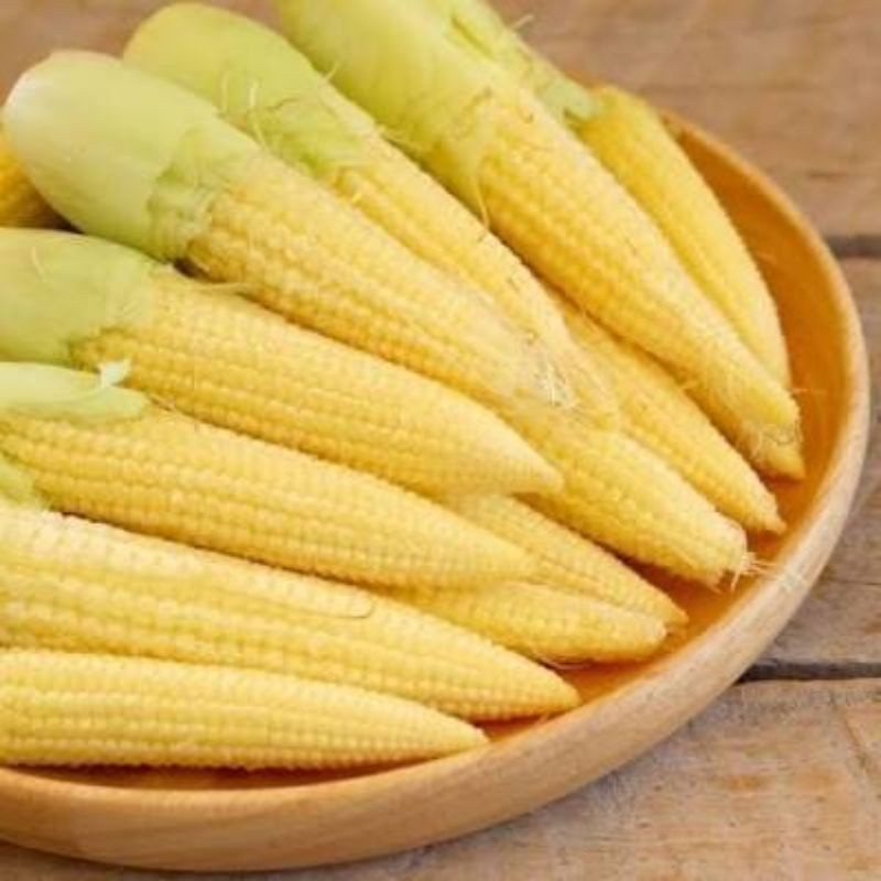 

Baby Corn 250gr - 500gr / Putren – Jagung Muda yang Segar dan Lezat