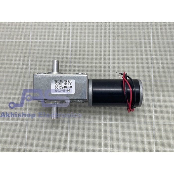 BDS99 High Torque Motor DC 5840-31ZYS 12V 10RPM 40RPM 160RPM Double Shaft - 40RPM