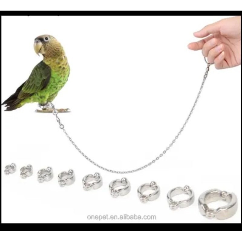 | RING BORGOL /RING BORGOL SUNCONUR/PAROT/RING BORGOL LOVEBIRD/RING BURUNG FALK/RING BURUNG NURI/RIN