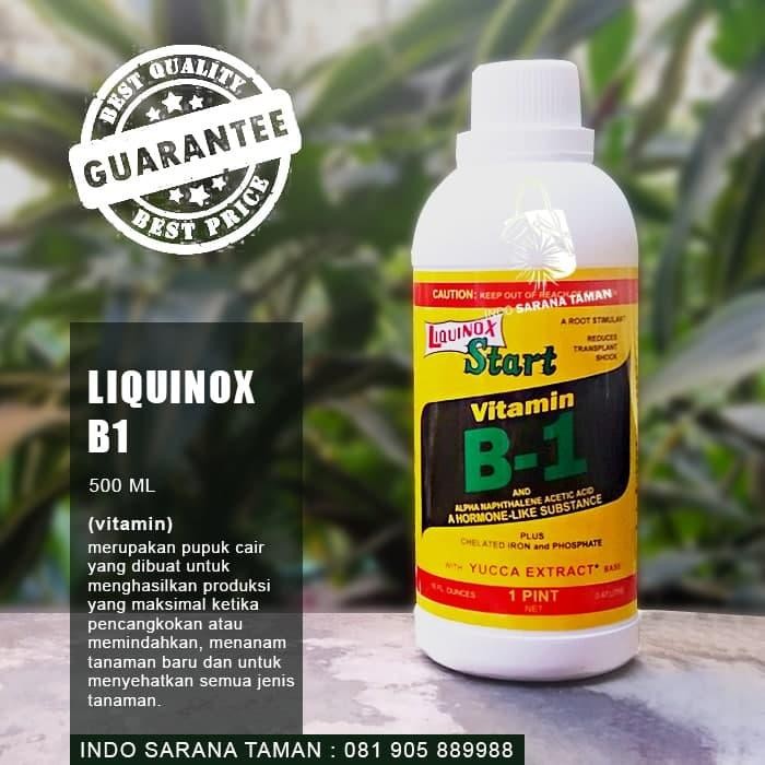 Pupuk Vitamin B1 LIQUINOX Pupuk Tanaman Untuk Anti Stres Semua Tanaman [terlaris]
