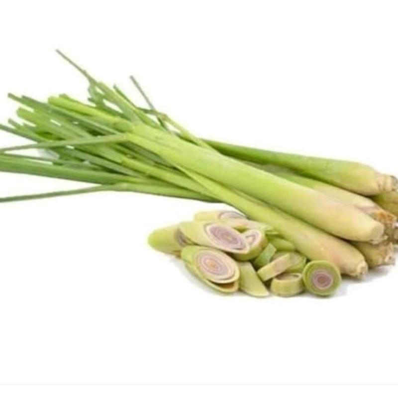 

SERAI / serai / BUMBU MASAK