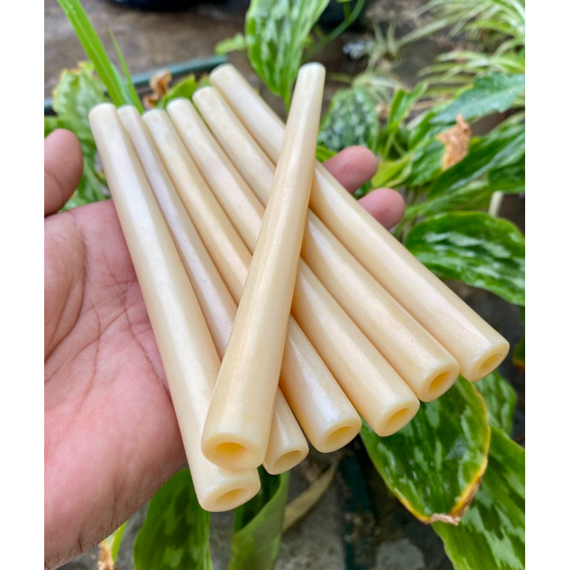 once pipa tulang sapi impor afrika superan mulus glowing rasa enak seperti gading