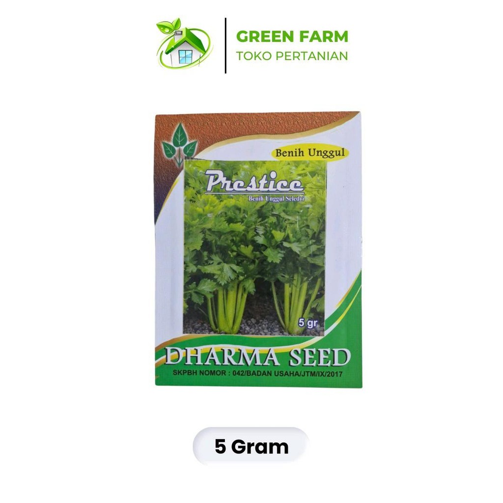 

Seledri Prestice Sledri Super Kemasan 5gr Original Daun Benih Benih Hijau Tanaman Daun