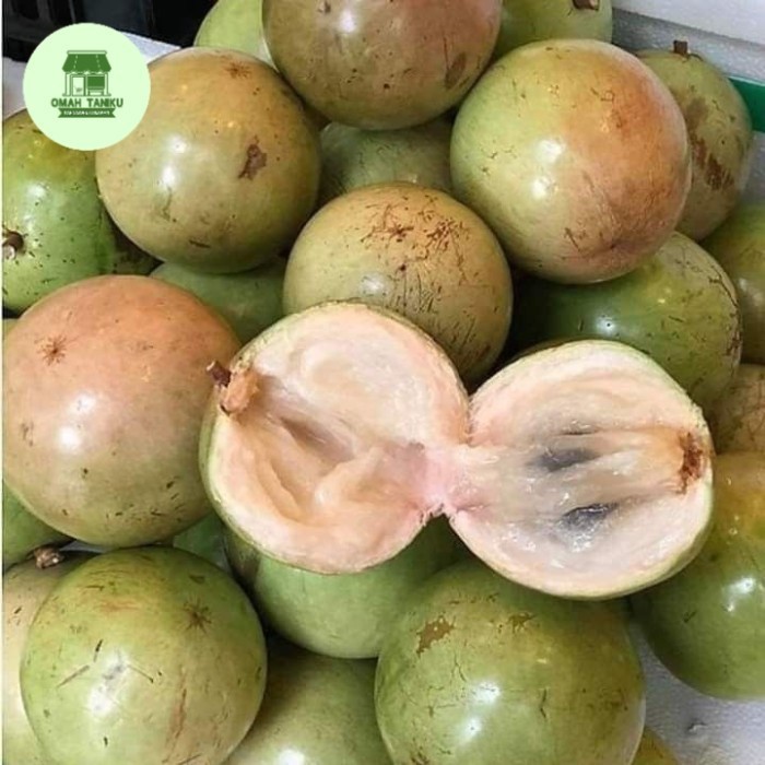 

buah bintaro simpalak