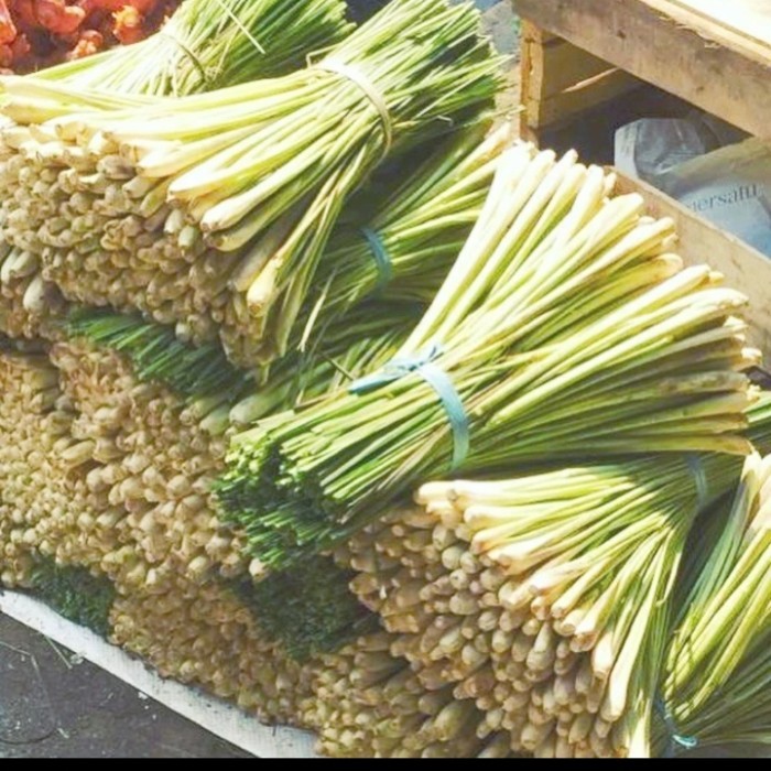 

sereh bumbu dapur sereh Bangkok sereh segar - 1/2 kg