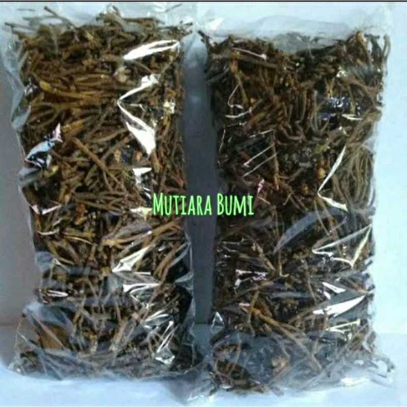 

Gagang cengkeh kering