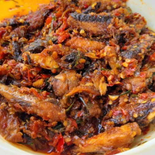 

Sambel Tongkol Lezat dan Praktis