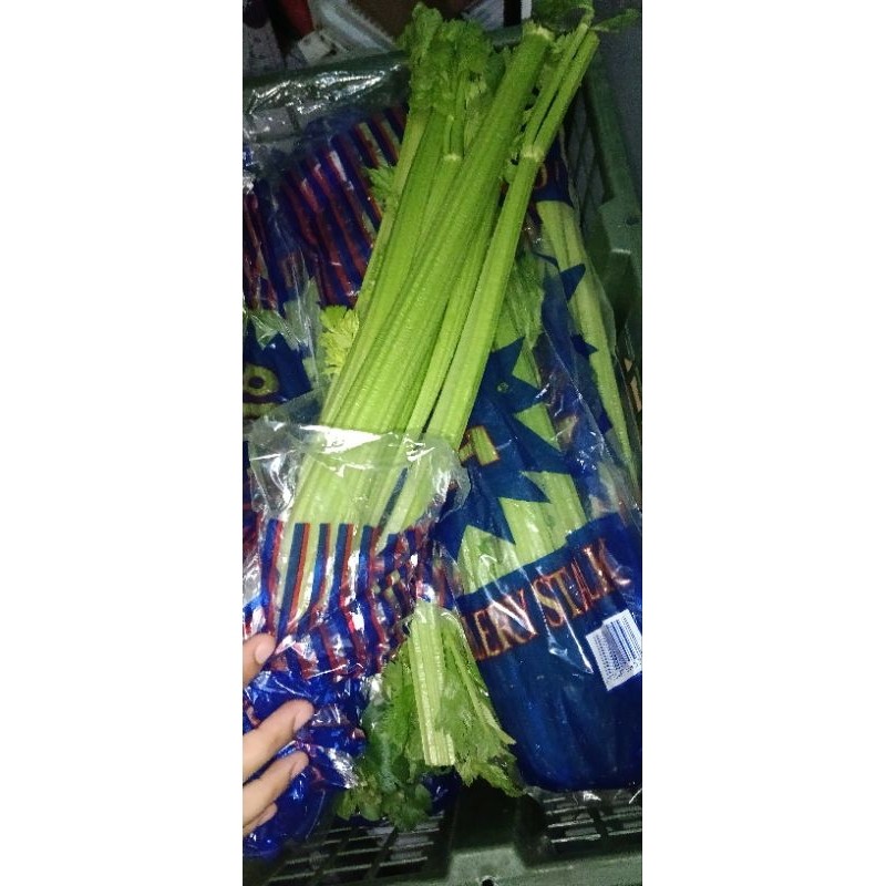 

Celery Stick / sledry stick import