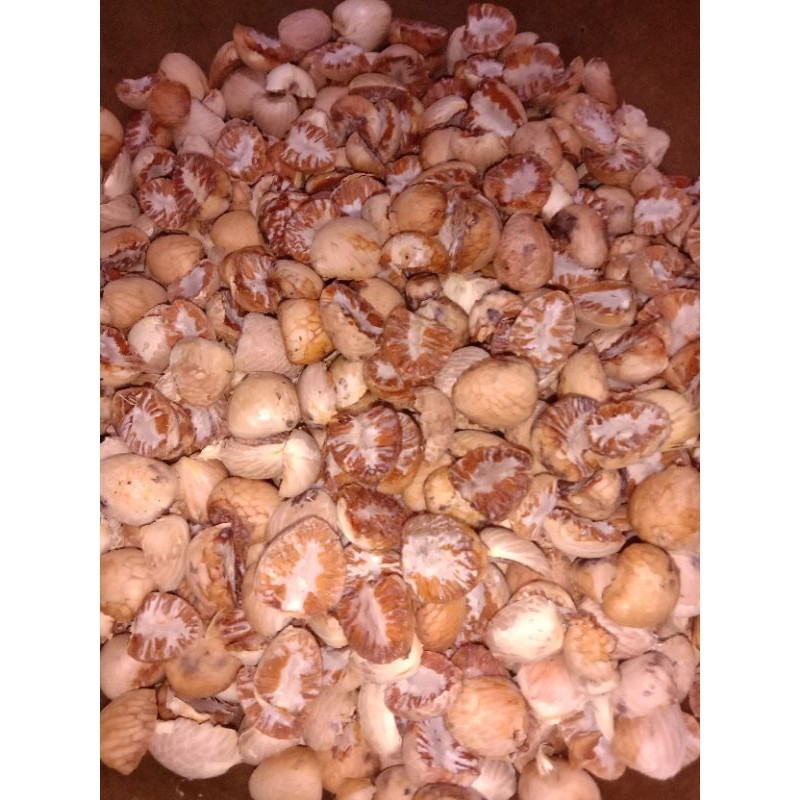 

terbaik buah pinang kering termurah 1 kg terbaik AM YL