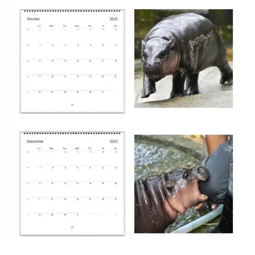 

Moo Deng Calendar for 2025 | Creative Cartoon Hippopotamus Ornament, Cute Desktop Calendar Decoration |50 Page Copperplate Paper