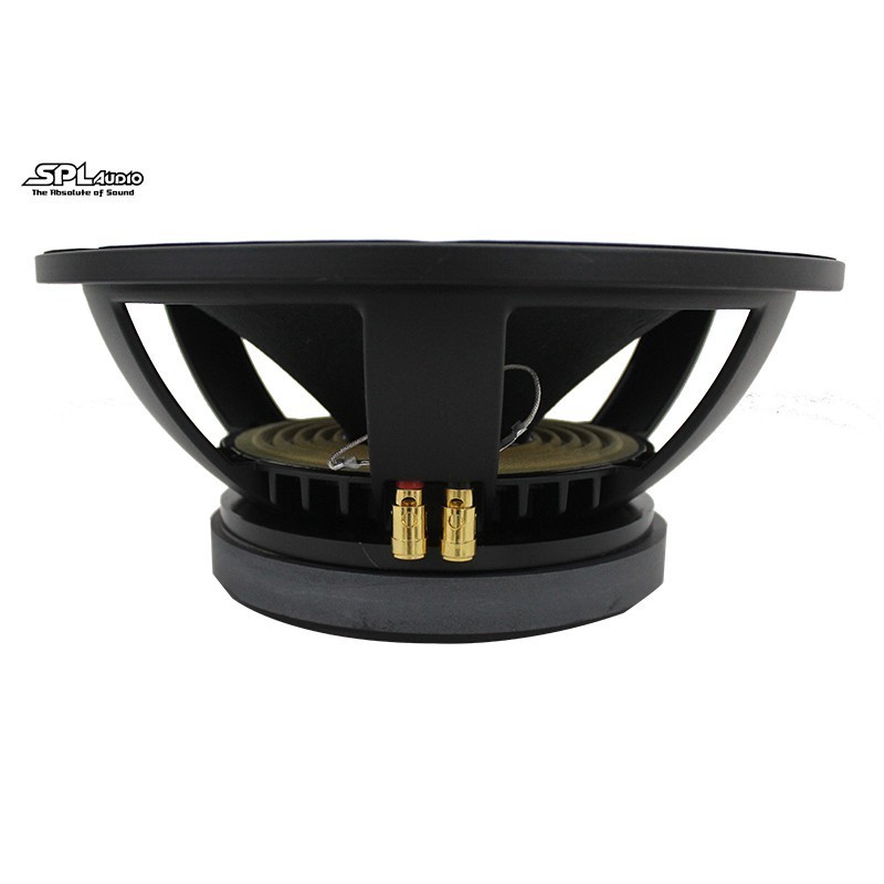 CLA By SPL Audio Speaker 12 Inch 12PS100