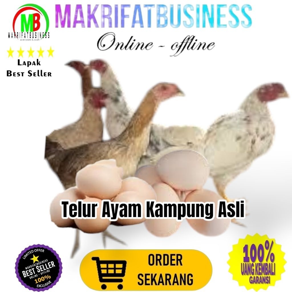 

IMDA HANDICRAFT Paket 5 Pcs Size Kecil TELUR AYAM KAMPUNG ASLI Untuk Konsumsi Jamu Kesehatan Makanan Protein Gizi Tinggi