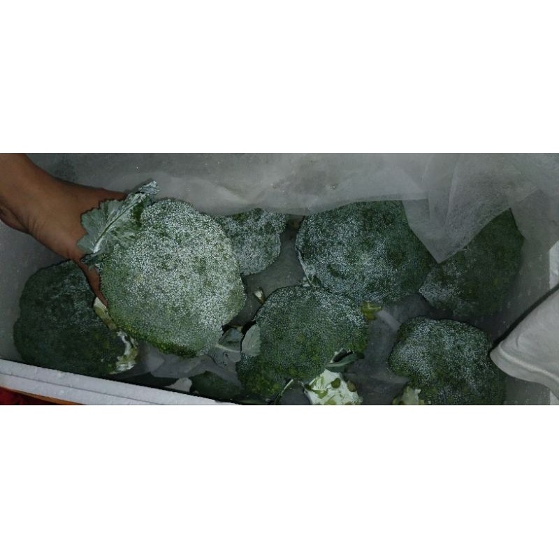 

Brokoli Import kg