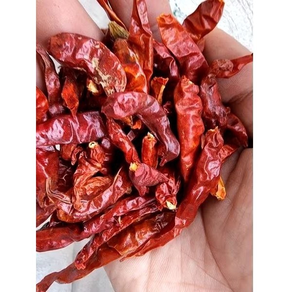 

Cabe rawit kering tanpa tangkai 500gr / cabe kering 500gr / cabe rawit 500gr