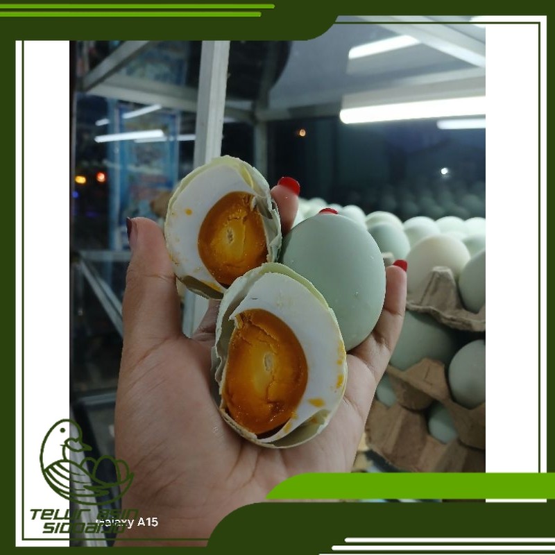 

TELOR ASIN REBUS ISI 10 BUTIR UKURAN SEDANG