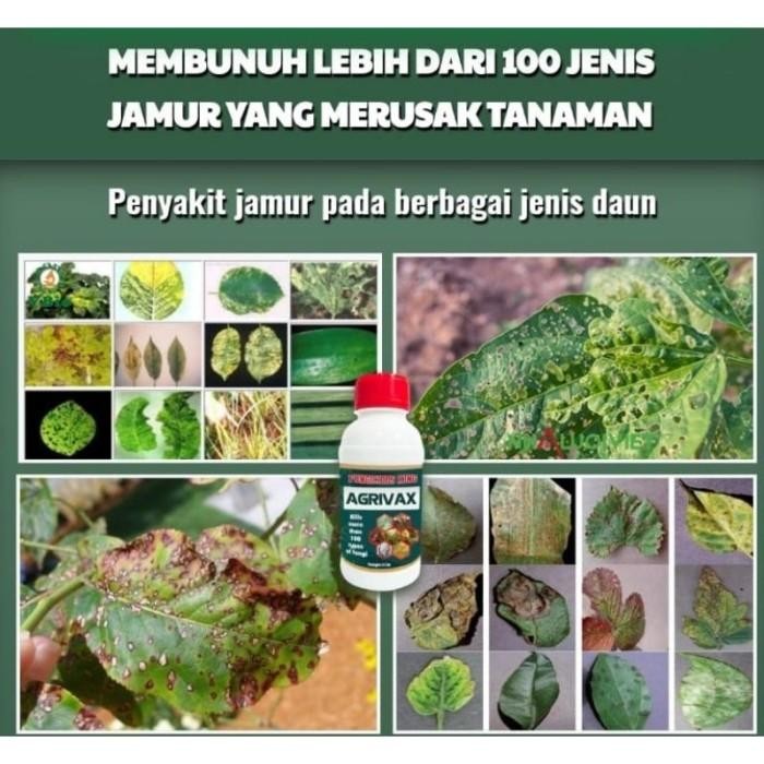 AGRIVAX FUNGICIDES KING New
