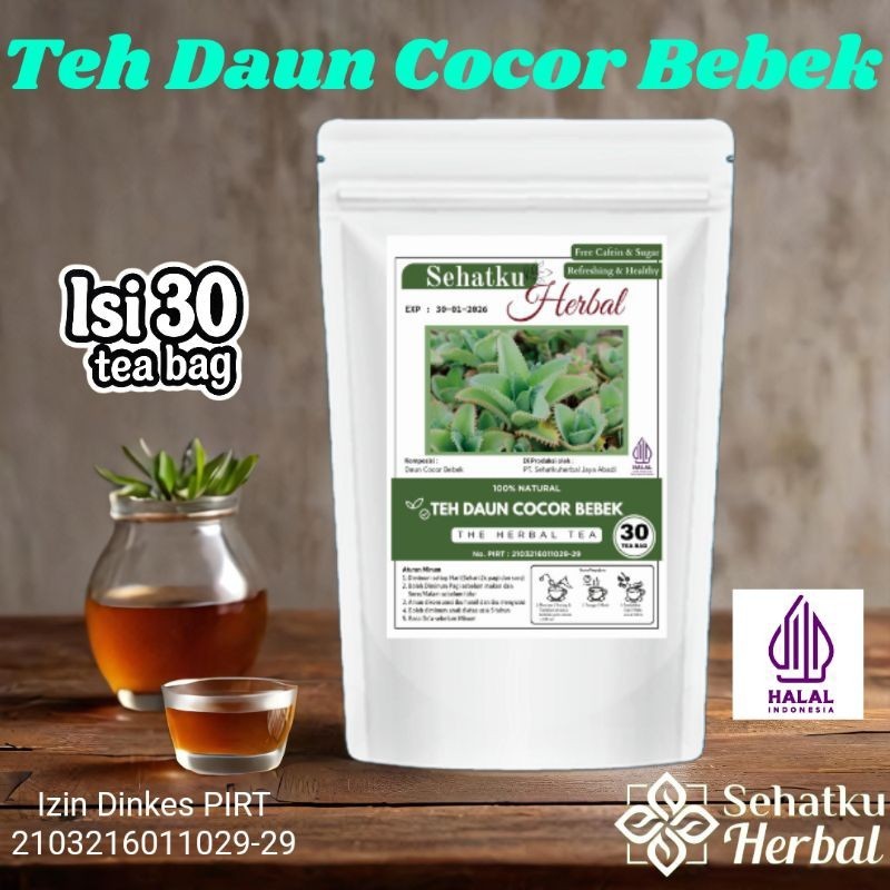 

SEHATKUHERBAL Teh Daun Cocor Bebek isi 30 tea bag