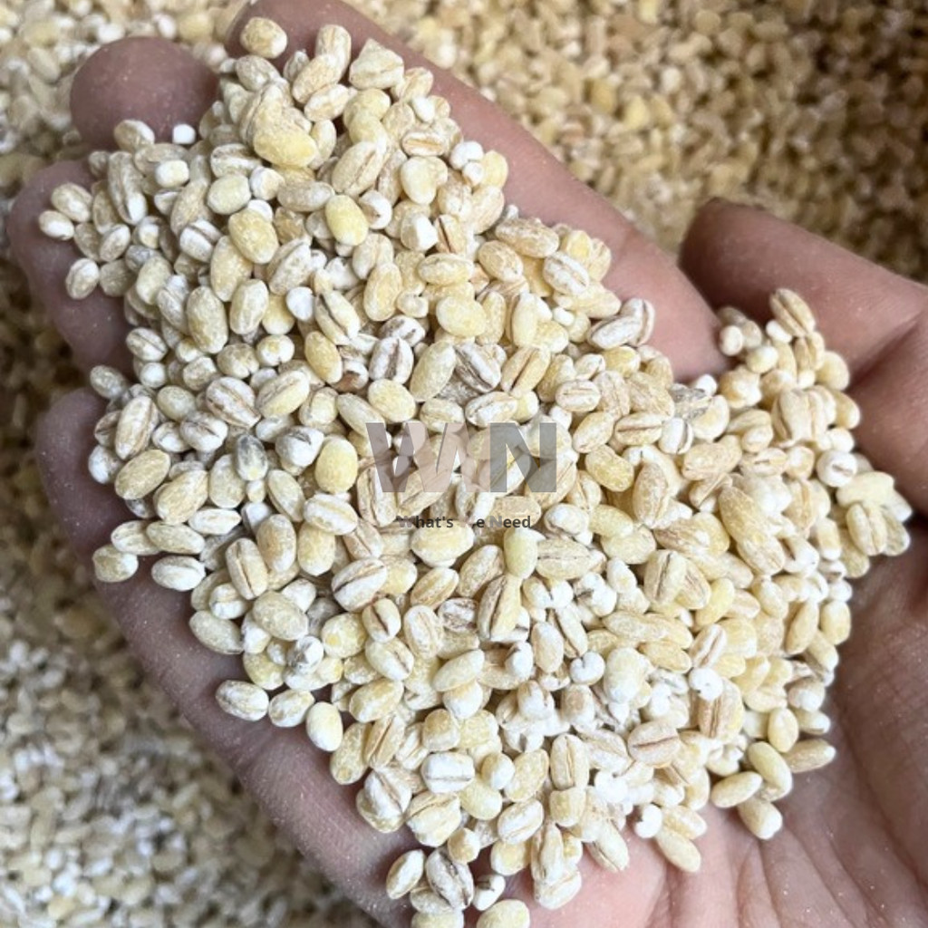 

Biji Jali-Jali Holland Pearl Barley Biji Jali 200gr 500gr 1KG