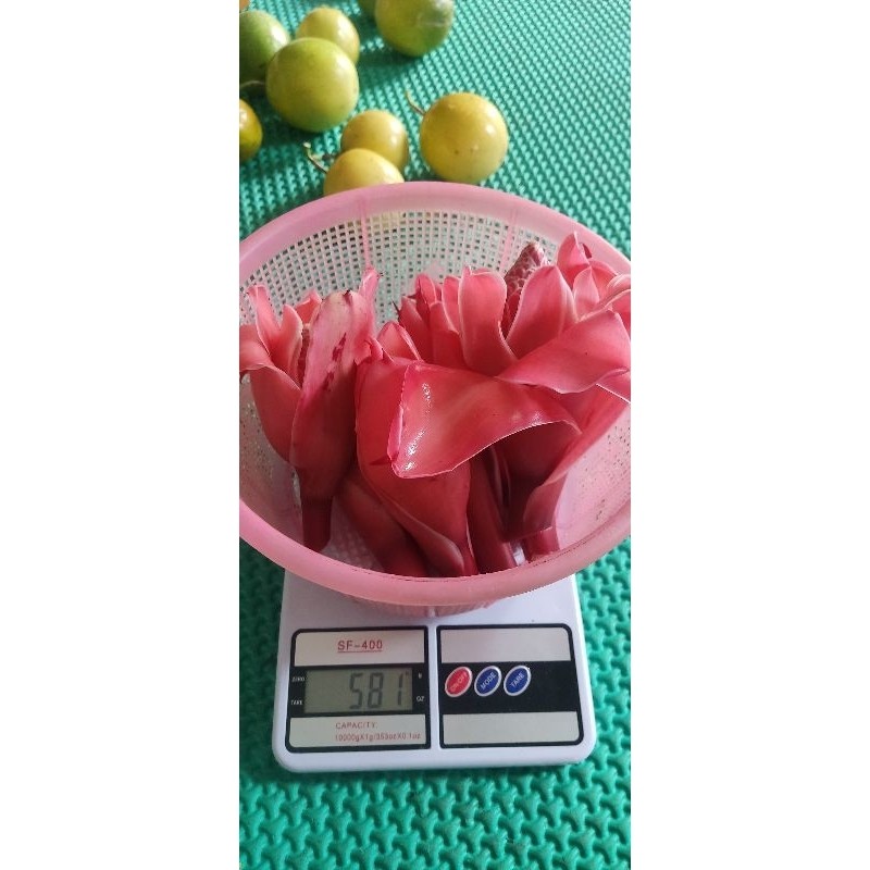 

Bunga Kecombrang Merah Segar 500 Gram