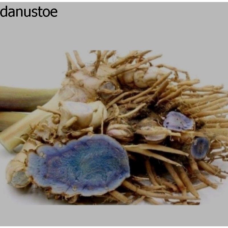 

Temu ireng/kunyit hitam 300gram