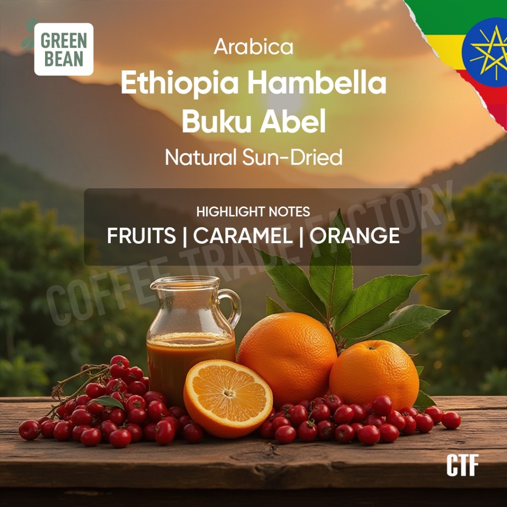 

Green Beans Arabika Ethiophia Hambella Bukuabel Natural Sun-Dried Heirloom / Coffee Trade Factory CTF / Green Bean Arabica Biji kopi mentah premium berkualitas buku abel etiopia ethiopia greenbean specialty coffee
