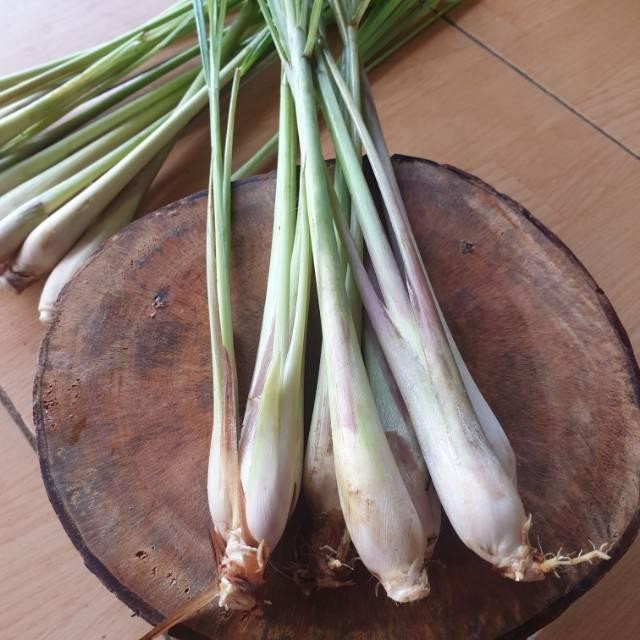 

Sereh Segar Serai Bumbu dan herbal kondisi Fresh