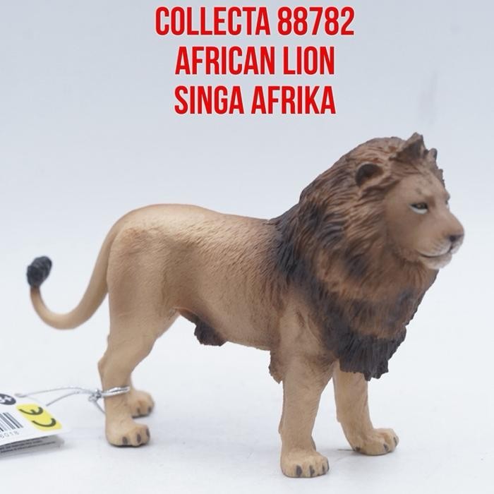 Collecta 88782 African Lion Singa Afrika Jantan Panthera Leo  Mainan Binatang Miniature Hewan Animal
