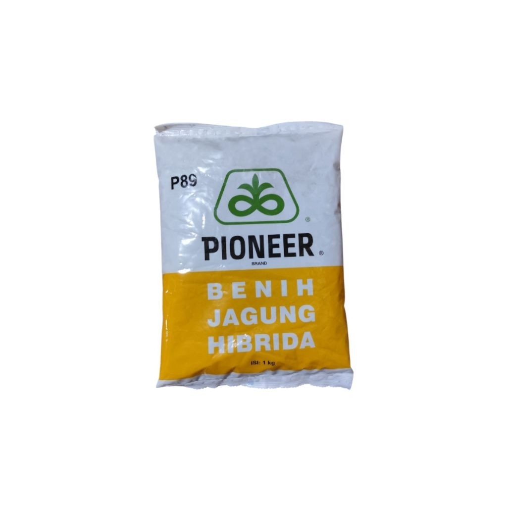 Benih Jagung Hibrida PIONNER P89, 1Kg