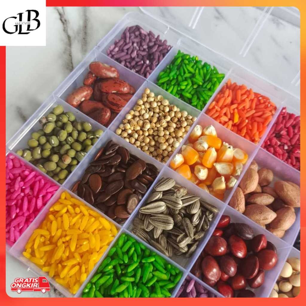 Kerajinan UMKM / Paket Kolase Sekat Biji Bijian Mainan Edukasi Anak Aktivitas Kerajinan Anak Paket B