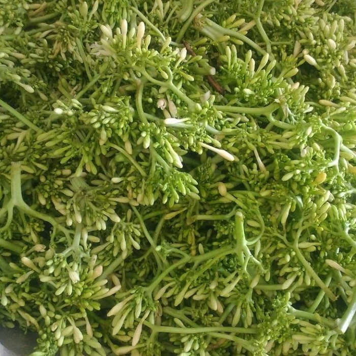 

Sayur bunga pepaya fresh, berat 250 gram