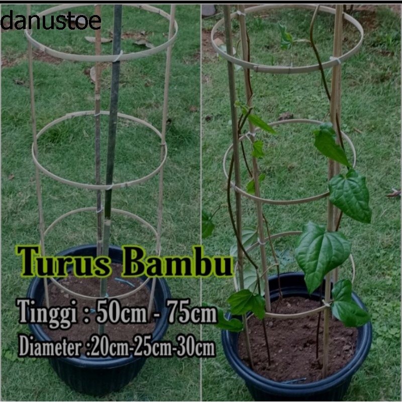 Turus Tanaman lingkar bulat