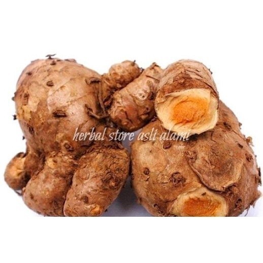 

temulawak segar/temulawak/koneng geude segar 1 kg ready stok