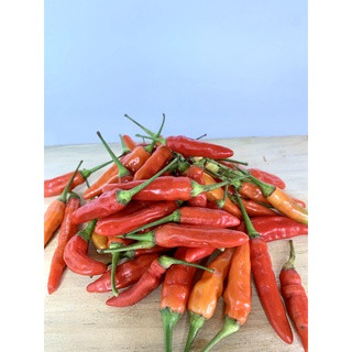 

[DAPUR EXPRESS] Cabe Rawit Merah.